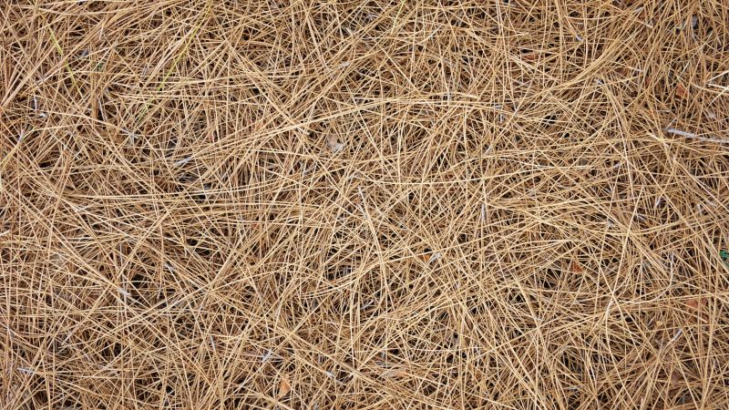 Pine Bark Mulch Pile